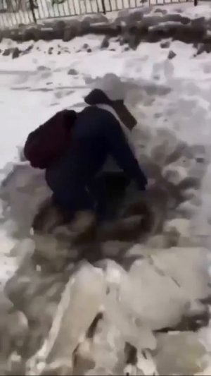 Ничему жизнь не учит