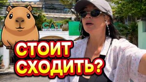 Кафе с КАПИБАРОЙ в Нячанге 2026 ВЬЕТНАМ