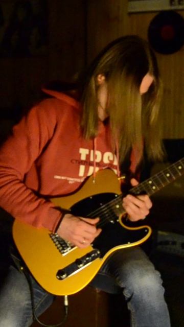 Gremlins 2 - Mr. Wing's Store (guitar Cover)