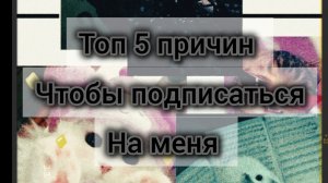 Топ 5 причин , чтобы подписаться на меня ( прости собачий мир с мокрыми носами )