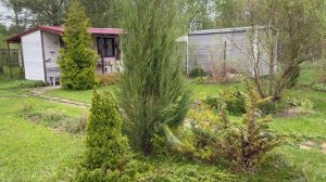 Сняла мужа без разрешения). Гости. Напряглась и все докосила