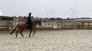 ДГ-325_Хамдамова_Виолетта_ Entraînement_équestre