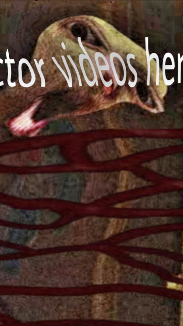 Lv_0_20260511103623