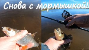 «Ультралайт и мормышка: новая приманочка — отличный улов!»