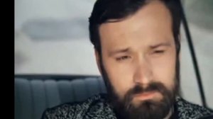 берёзы