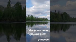 Авторская песня - Черёмухи цвет.