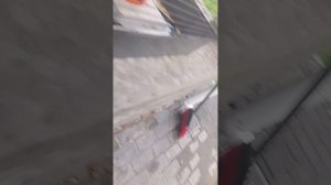 колхоз