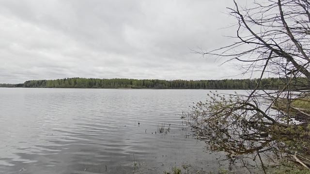 Уводьское вдхр. ч.7. Май 2026