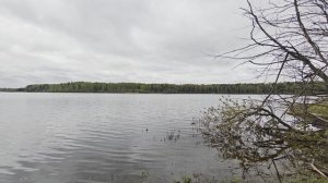 Уводьское вдхр. ч.7. Май 2026