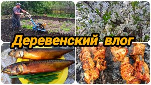 ПАШЕМ, САЖАЕМ, ОТДЫХАЕМ 😊👍 ВСЕ ОДНИМ ДНЕМ  😀