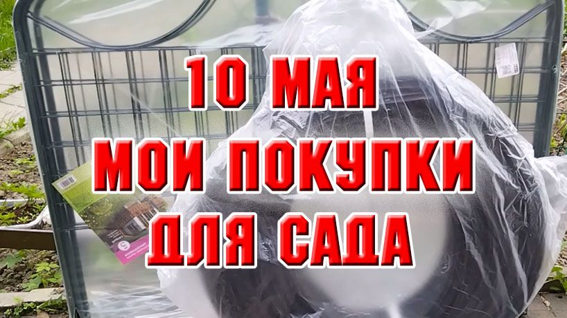 10 мая. Мои новые покупки для сада