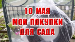 10 мая. Мои новые покупки для сада