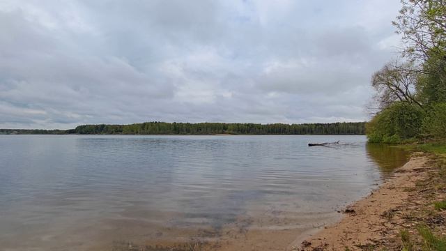 Уводьское вдхр. ч.3. Май 2026