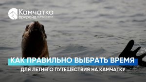 90% туристов выбирают неправильное время для поездки на Камчатку | Честно о летнем сезоне | 2026