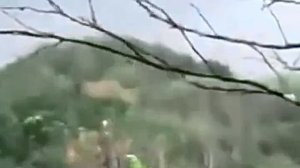 Возможная Посадка НЛО