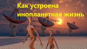 Как устроена инопланетная жизнь
