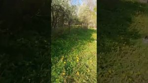 1000011591.mp4