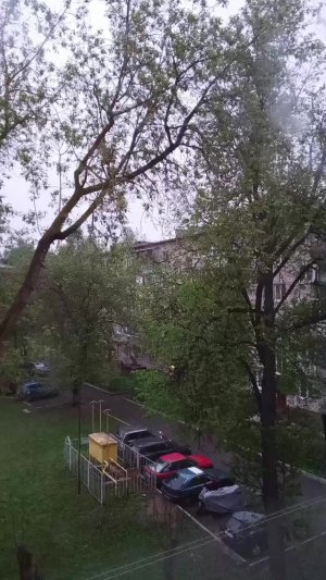 МУЗЫКА