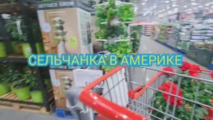 Сельчанка в Америке ЕДУ ЗА МОЛОКОМ ПРИЕХАЛА С ЦВЕТАМИ НО БЕЗ МОЛОКА