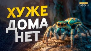 Коран раскрыл тайну паука