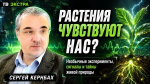 Растения чувствуют нас. Необычные эксперименты и факты – Сергей Кернбах