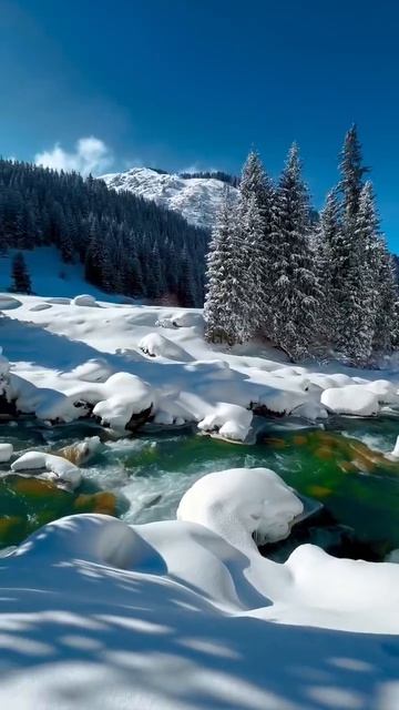 Золотое пастбище 🏔️