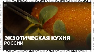 Русская экзотическая кухня: что это? | Сити. Столик на двоих — Москва 24 | Контент