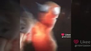 1000004748.mp4