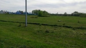 На этом поле изумрудном