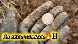 Я думала здесь выкопали все, однако мне не хило повезло!