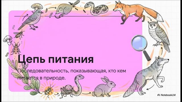 Окружающий мир 3 класс Кто что ест