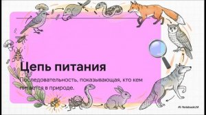 Окружающий мир 3 класс Кто что ест