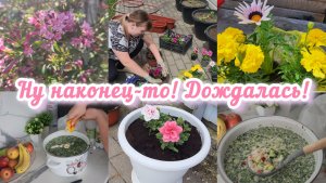 МАЙСКИЕ ХЛОПОТЫ 😊ПОКУПОЧКИ🛍НАВОЖУ КРАСОТУ 🪷