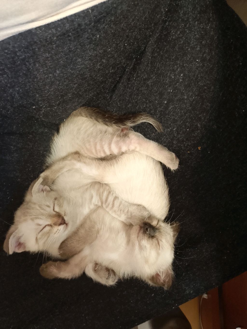 Любимая Сонечка 💕💞 смотреть онлайн
