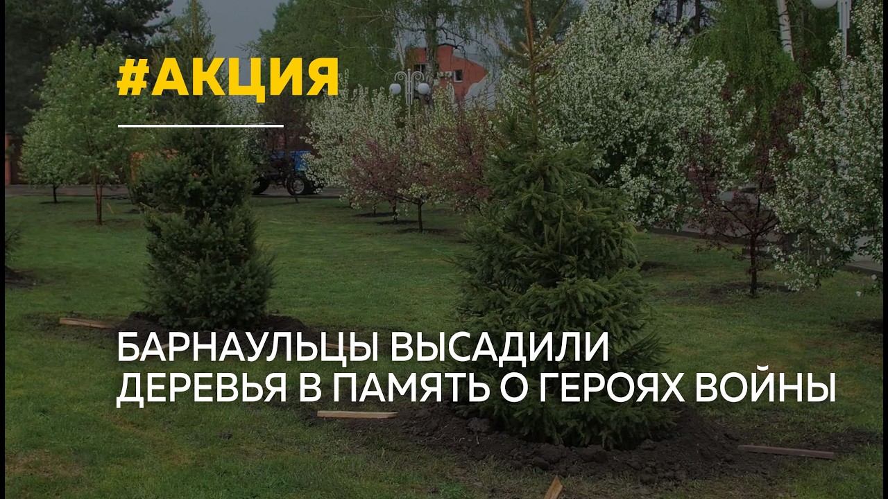 В Барнауле прошла международная акция "Сад памяти" смотреть онлайн