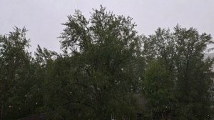 Новосибирск 12.05.2026г. Выпал майский снег.