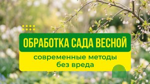 Обработка сада весной: современные методы без вреда
