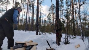Снова еду в зимовьё.Прибегала стая собак.