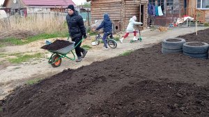 Высадила петунию.Огородные работы.