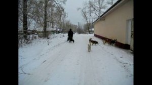 Стройгородок(строили военные, рядом ИТК Рекорд) . Кировский р-он. Кемерово