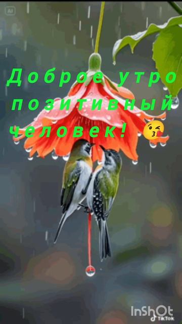 5522.mp4 смотреть онлайн