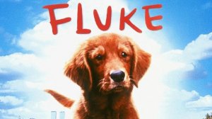 Флюк / FLUKE: Carlo Siliotto (OST MEGAMIX)
