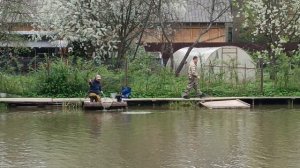 Форель клюëт. РК Липки.