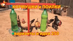 Кормушки и поилки для кур своими руками 250(1) 🪚✂️ Пошаговая инструкция как сделать 🐔 🐓❣️