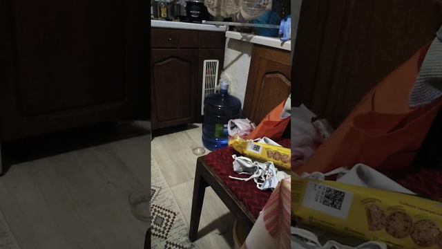 Мой сон с Толиком смотреть онлайн