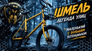 ЗАЧЕМ мне МИНИ ВЕЛО? Shulz Шмель