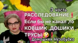 3 часть. РАССЛЕДОВАНИЕ❗️Если БЫ не канал, то КОВШИК ,ДОШИКИ ,ТРУСЫ ,ПОЛУФАБРИКАТЫ🤷♀️❗️