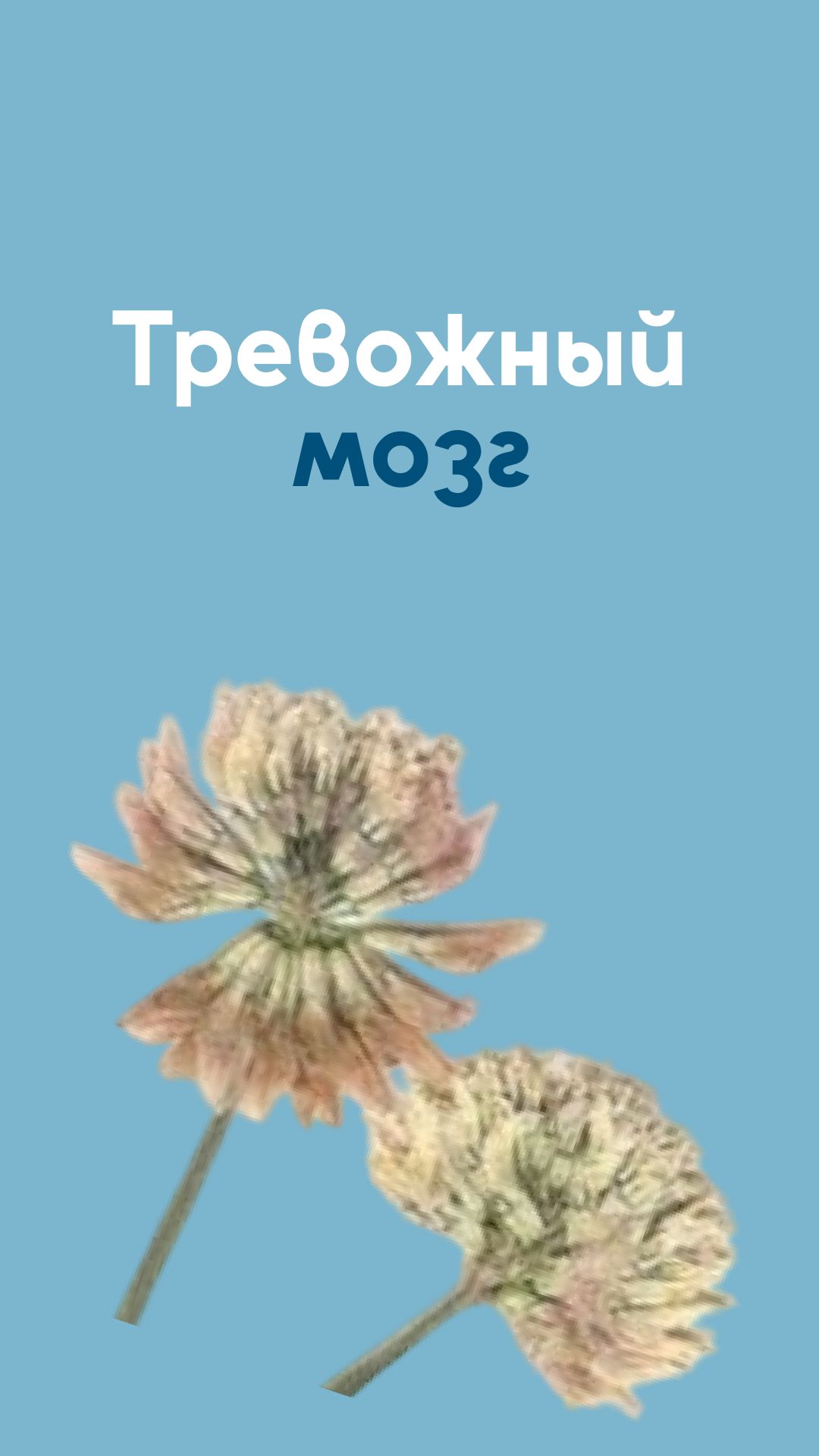 Тревожный мозг