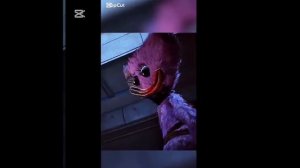 Эдит про Киси Миси 𝙺𝚒𝚜𝚜𝚢 𝙼𝚒𝚜𝚜𝚢 edit