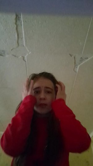 тюленя